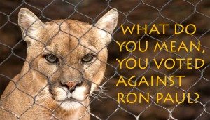 What do you mean, you voted AGAINST Ron Paul?