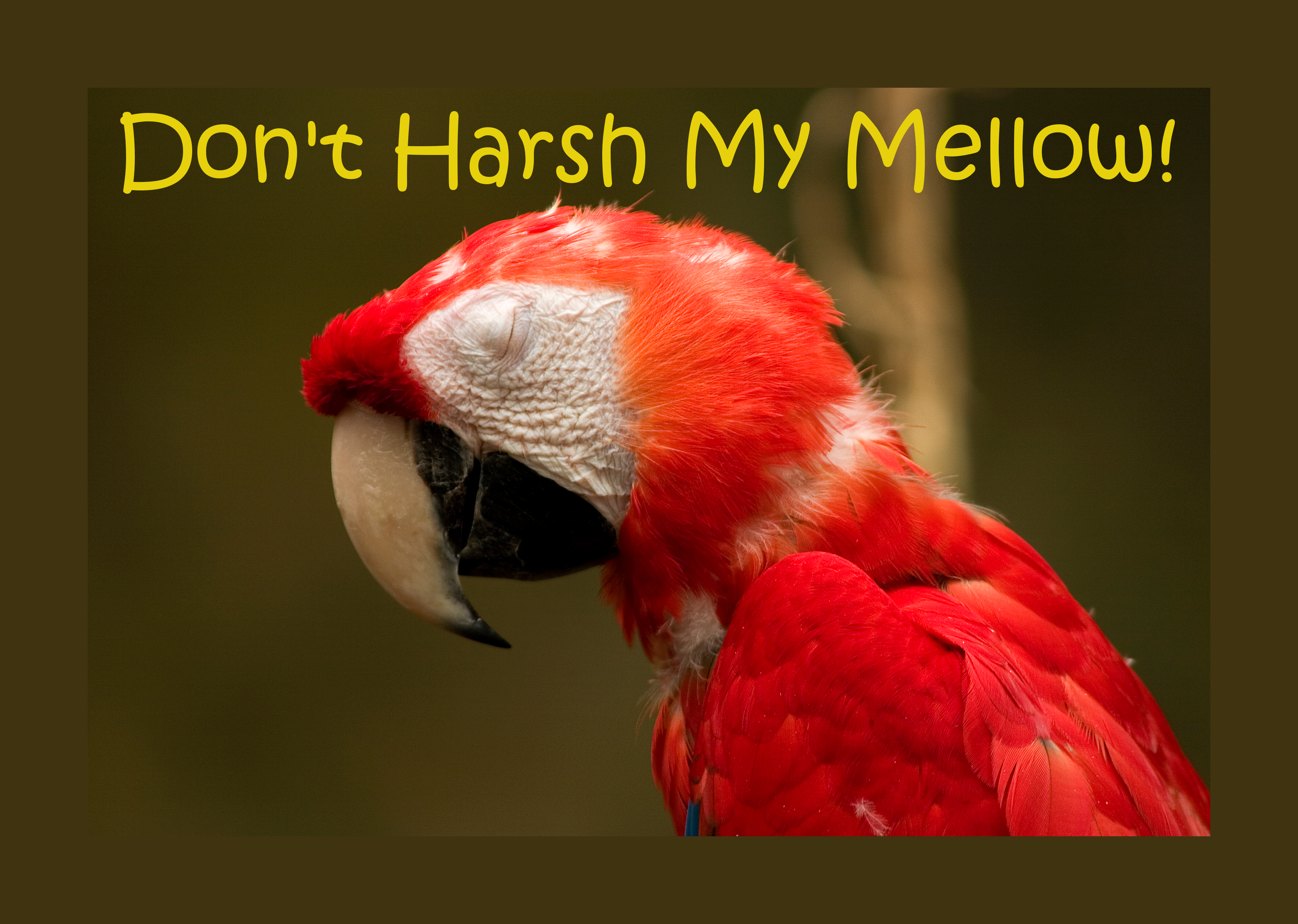 Don't Harsh My Mellow.
