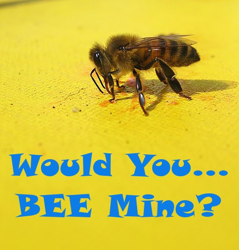 Would You BEE Mine...?