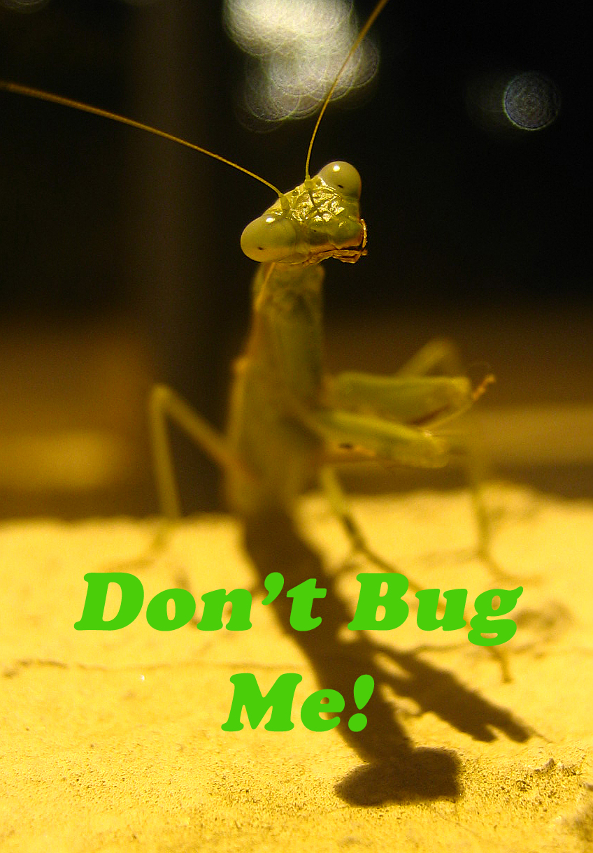 Don't Bug Me!