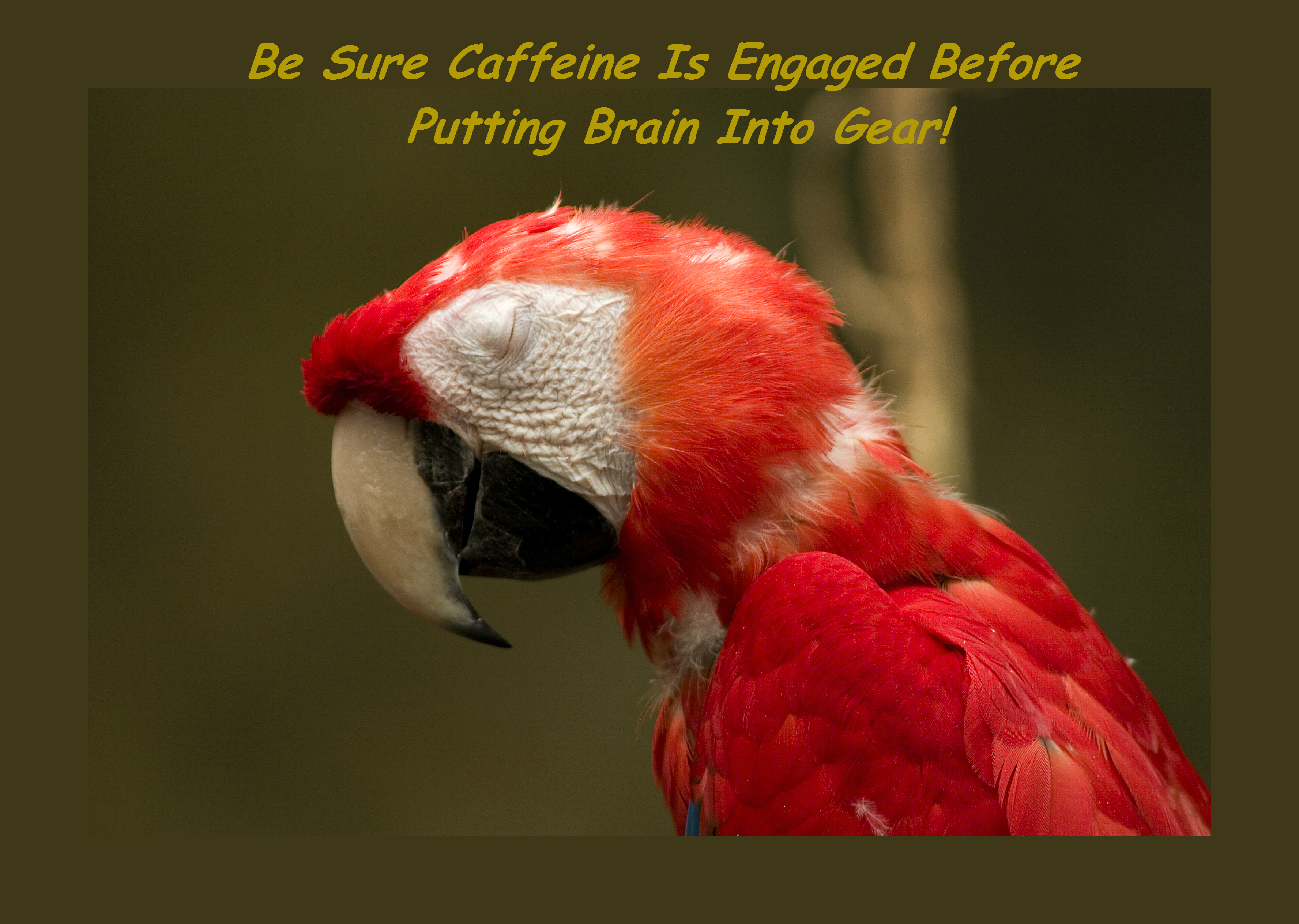 Be Sure Caffeine Is Engaged Before Putting Brain Into Gear