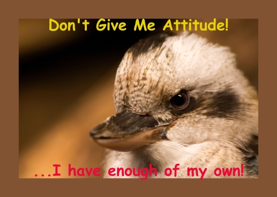 Don't Give Me Attitude...